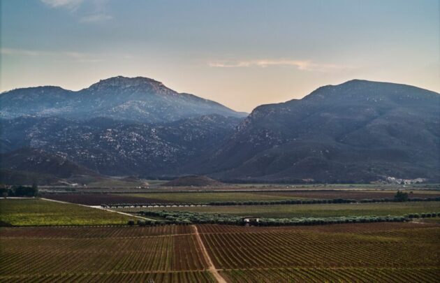 Montage Valle de Guadalupe